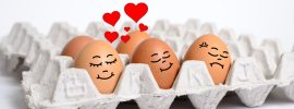 Egg Newsletter - Marketing You Can Touch