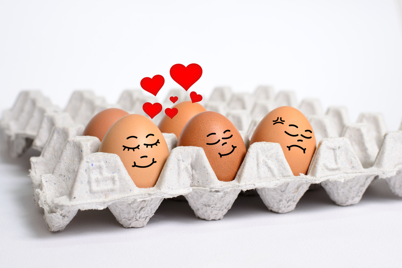 Egg Newsletter - Marketing You Can Touch