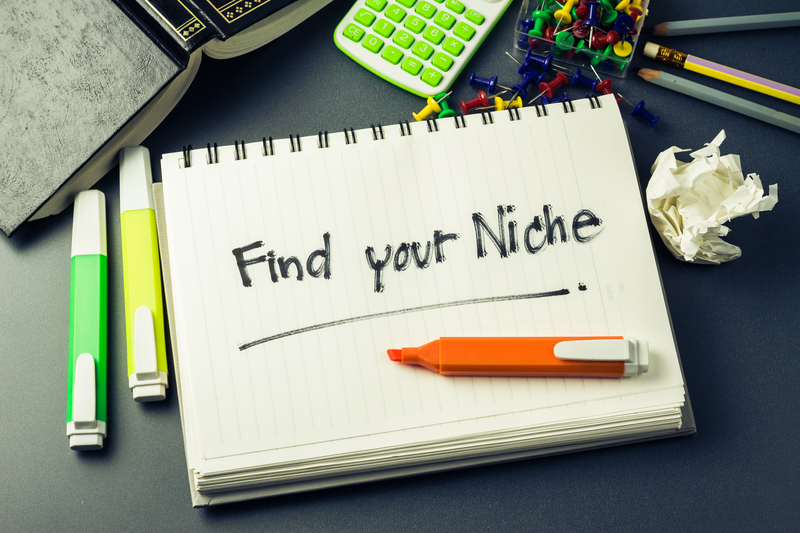 Find Your Niche and Make Money Online