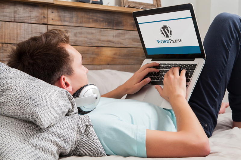 WordPress is a Website Developer's Dream