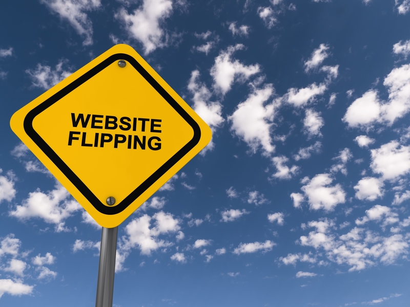 $100 a Day Flipping Insanely Simply Sites